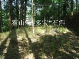 “鑫多寶”石斛基地